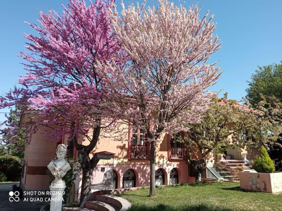 La Mata  Finca Denunez 빌라 외부 사진