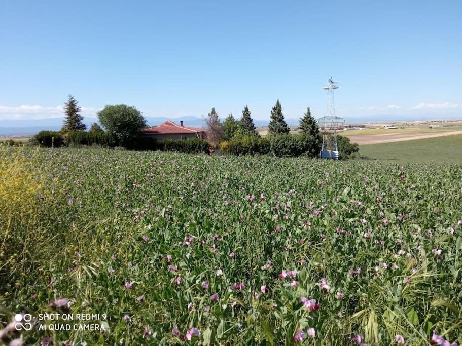 La Mata  Finca Denunez 빌라 외부 사진