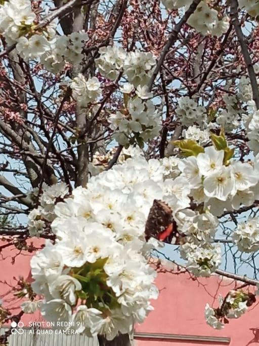 La Mata  Finca Denunez 빌라 외부 사진