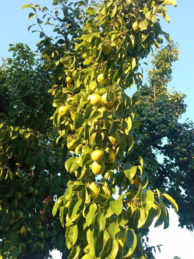 La Mata  Finca Denunez 빌라 외부 사진